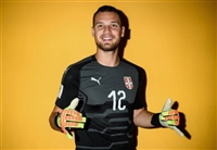 Predrag Rajkovic t-shirt #3352868