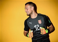 Predrag Rajkovic hoodie #3352879