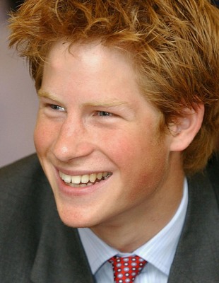 Prince Harry canvas poster