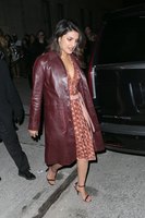 Priyanka Chopra hoodie #3066357