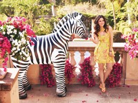 Rachel Bilson tote bag #G466925