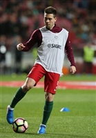 Raphael Guerreiro Longsleeve T-shirt #3353095