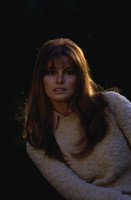 Raquel Welch Longsleeve T-shirt #2634789