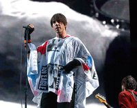 Red Hot Chili Peppers Sweatshirt #2519305