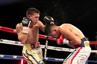 Regis Prograis mug #G1824973