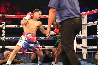 Regis Prograis posters