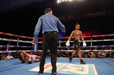 Regis Prograis posters