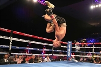 Regis Prograis mug #G1825002