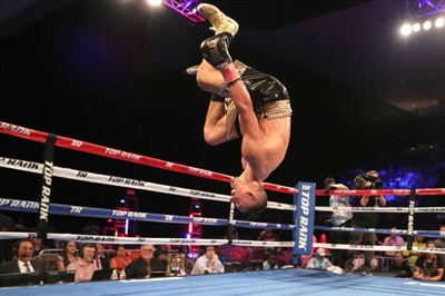 Regis Prograis posters