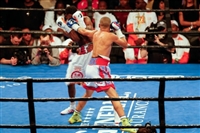 Robert Easter Jr. Sweatshirt #3594780