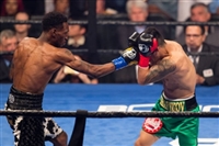 Robert Easter Jr. Sweatshirt #3594785