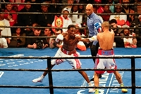 Robert Easter Jr. Sweatshirt #3594788