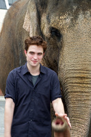 Robert Pattinson Longsleeve T-shirt #2244484