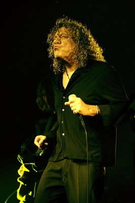 Robert Plant posters