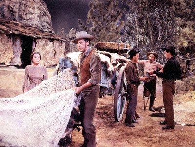 Robert Taylor posters