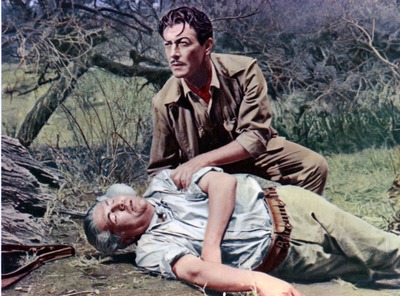 Robert Taylor posters