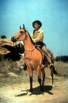 Robert Taylor posters