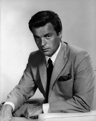 Robert Wagner puzzle 2607259