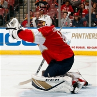 Roberto Luongo Sweatshirt #3556939