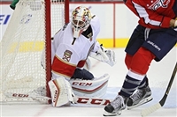 Roberto Luongo t-shirt #3556946