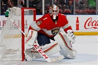 Roberto Luongo t-shirt #3556958