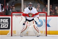 Roberto Luongo t-shirt #3556970