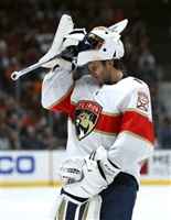 Roberto Luongo t-shirt #3556972