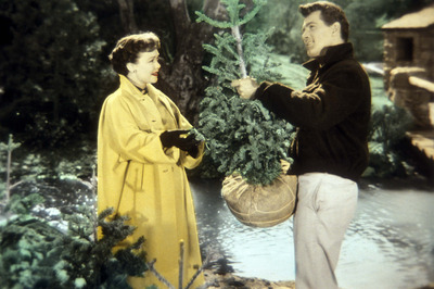Rock Hudson posters