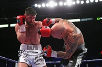 Rocky Fielding Sweatshirt #3585593