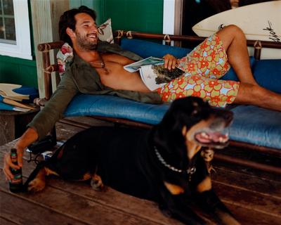 Rodrigo Santoro posters