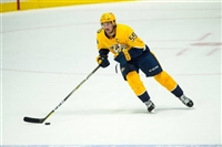 Roman Josi Tank Top #3540109