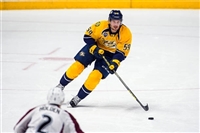 Roman Josi hoodie #3540241