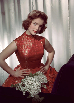 Romy Schneider posters