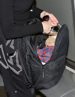 Rose Mcgowan Tank Top #3228404