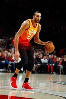 Rudy Gobert Longsleeve T-shirt #3398015