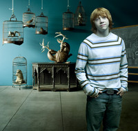 Rupert Grint Longsleeve T-shirt #2200155