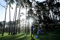 Russell Henley t-shirt #3498357