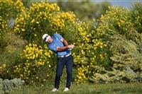 Ryan Fox Sweatshirt #3508543