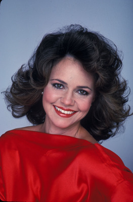 Sally Field puzzle 2348083
