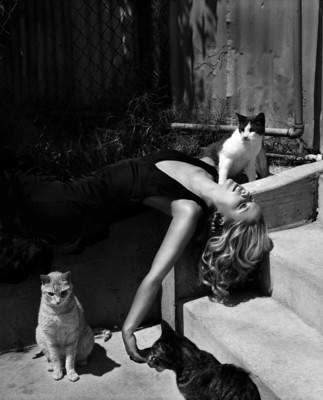 Sarah Michelle Gellar posters