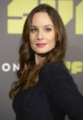 Sarah Wayne Callies posters