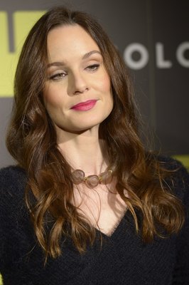 Sarah Wayne Callies posters