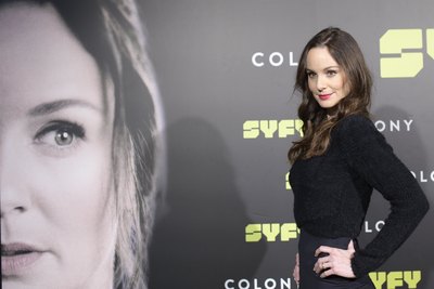 Sarah Wayne Callies posters