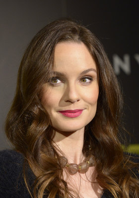 Sarah Wayne Callies posters