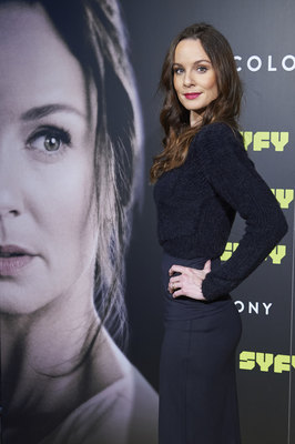 Sarah Wayne Callies posters