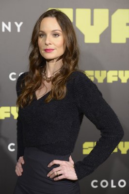 Sarah Wayne Callies posters