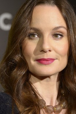 Sarah Wayne Callies posters