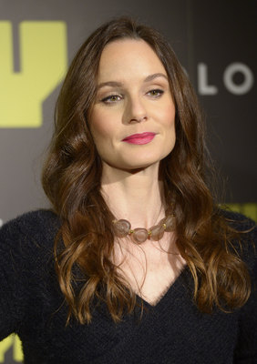 Sarah Wayne Callies posters