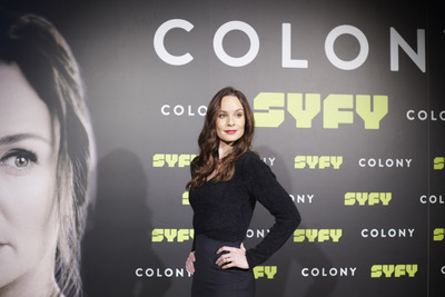 Sarah Wayne Callies posters