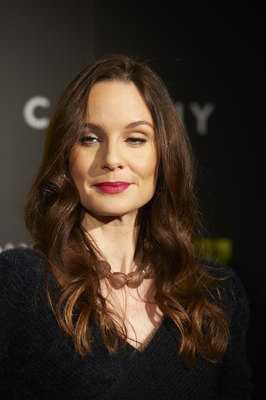 Sarah Wayne Callies posters